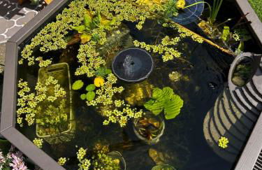 Ferienwohnung HAPPYHOME Bahnhofnah gemütlich familiär - Foto 54
