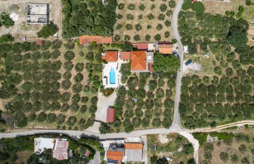 Villa Oliva - Photo 47