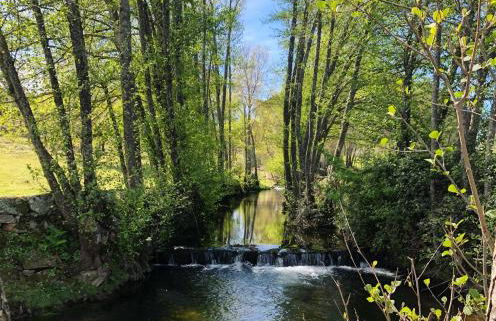 Quinta da Alma Cheia - Foto 11