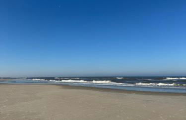 Dünenrose am Nordstrand - Foto 15