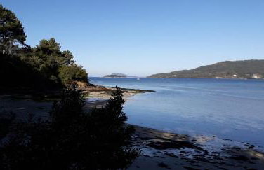 CASA abruñeiras - Foto 12