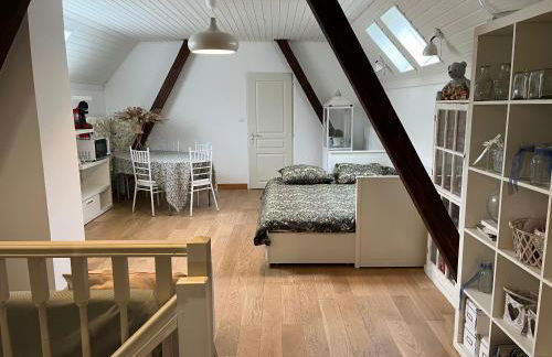 Dans Maison privée Appartement de charme, 70m2 avec pergola Et jardin à 15min centre de Strasbourg Chez Regine - Foto 13