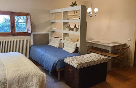 Stirpe nel Bosco - Fiocco - Foto 23