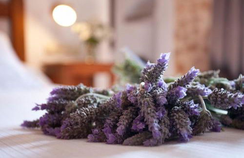 Agroturismo Es Quatre Cantons - Photo 100