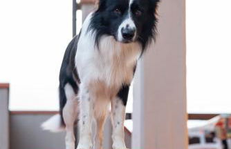 Follonica Apartments - Pool & Relax - Foto 82