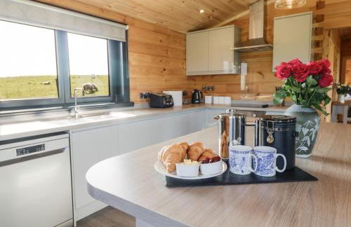 Bacheiddon Log Cabin - Photo 14