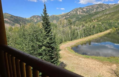 Camp Jackson Lodge - Foto 17