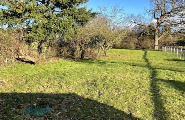 Spacious Family Friendly Cottage - Photo 9