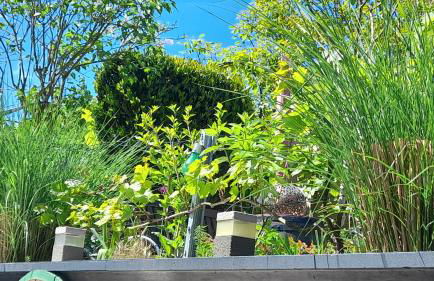 Ferienhaus Heimes - Foto 48