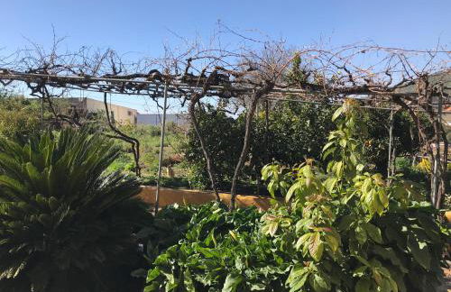 Casa Casilda - Foto 36