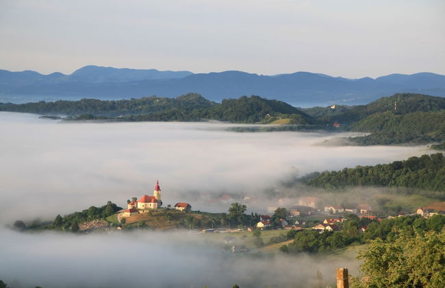 Pool Villa Silva Marija - App 102 - Foto 14