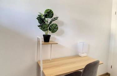 GRAND APPART TERRASSE PARKING DESIGN - Foto 11