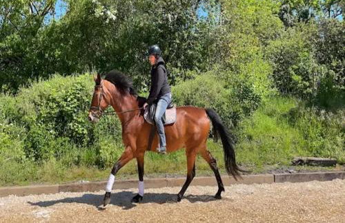 Gustow Garden Retreat - Foto 72