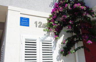 Milic Apartments - Foto 28