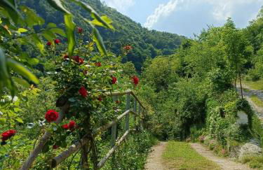 Boutique apartment Alla Dolce Vita - Foto 24