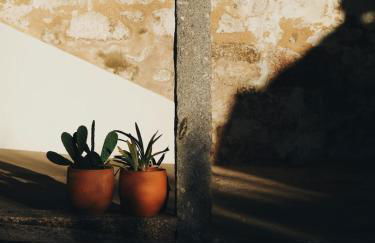 Casa do Muro Alto - Foto 48