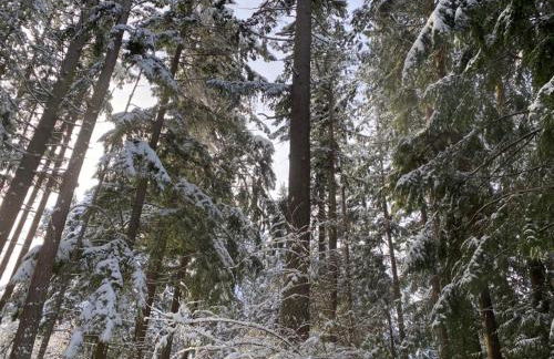 Perch - Island Hideaway - Foto 43