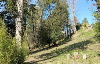 Casale La Pineta - Foto 28