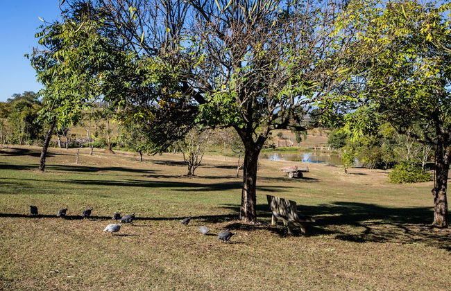 Hotel Fazenda Sete Lagos - Photo 56