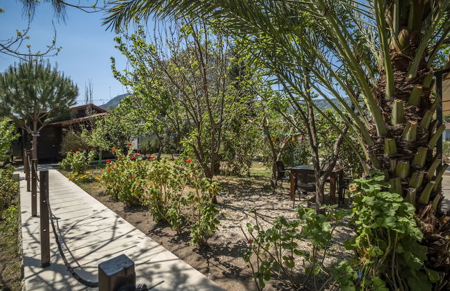 La Maison Hotel Çıralı - Foto 57