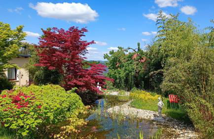 Ferienwohnung "Am Waldsaum" - Foto 25