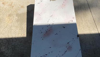 Tranquil Nature Retreat on 12 acres! - Foto 5