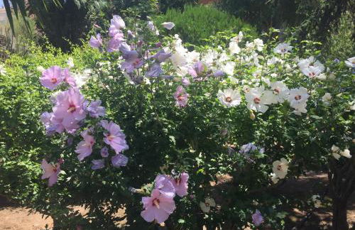 Tu Casa parking fibre optique Netflix - Foto 16