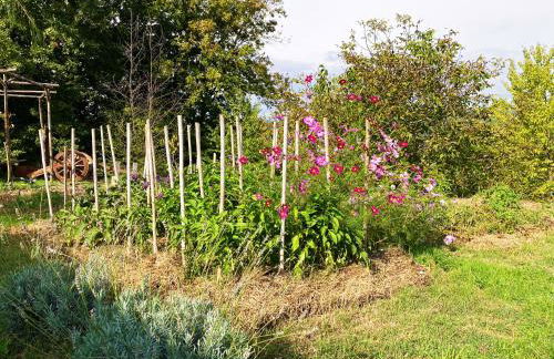 Oltrebosco Casa Vacanze - Foto 33