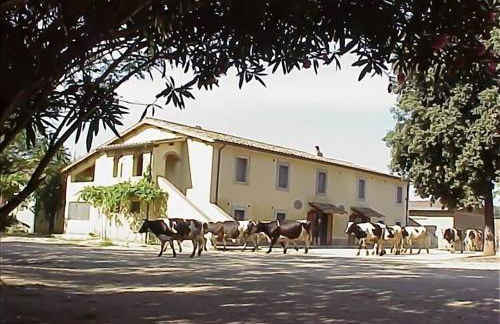 Biobagnolese Agriturismo - Foto 1