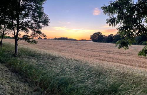 Pfarrhaus Tollensesee - Foto 38