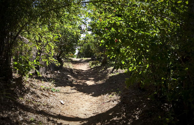 Bedarra Beach House - Foto 17