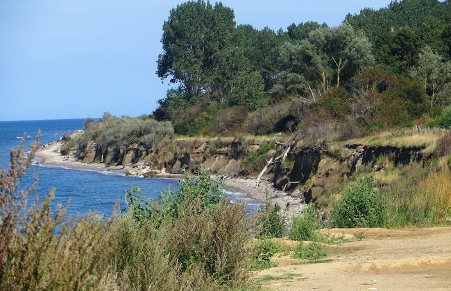 Modernes Ferienhaus mit Garten in Kagsdorf - Foto 44