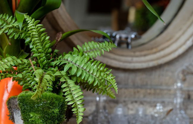 Haldon View in Bishopsteignton - Foto 30