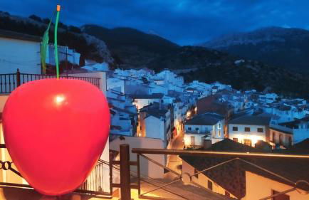 Casa Castillo - Foto 5