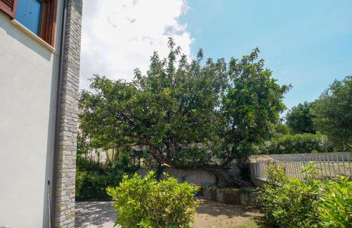 Casa Vacanze Palinuro-Mare - Photo 32