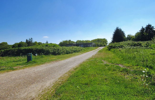 "Eloise" - 50m to the fjord - Foto 6