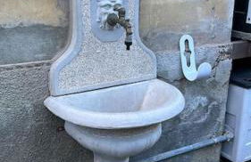 i tulipani - Foto 36