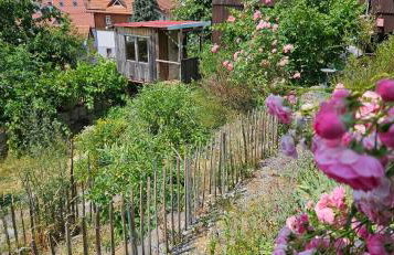 Waldheim Lindenfels - Foto 46