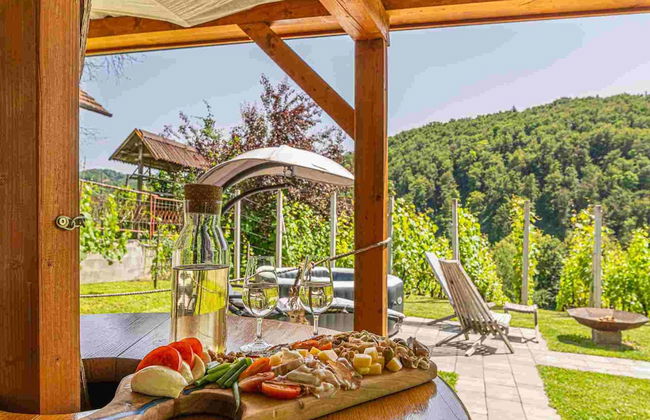 Vineyard cottage Matej - Foto 39