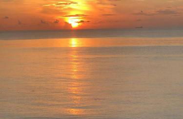 3-BR space in charming Hollywood - Foto 10