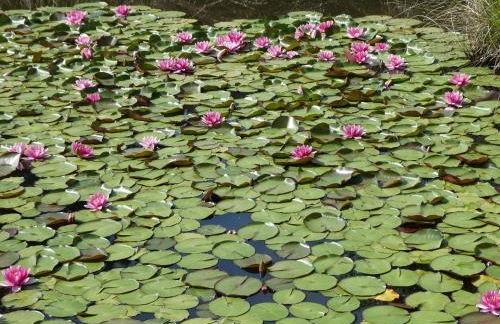 Rifugio Storico sul Mare - Foto 67