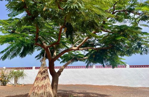 Casa Drago - Photo 38