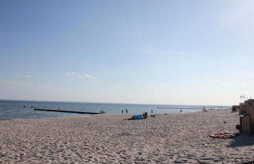 Silbermöwe im Kirschgarten - Foto 54