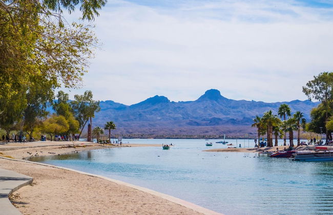 Martinique - Photo 49