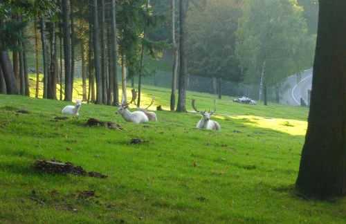 La Maison des Fontaines D'alsace - Foto 90