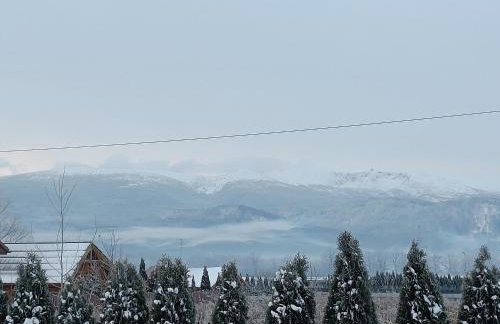 Domek w Karkonoszach. Cichy Zakątek - Foto 24