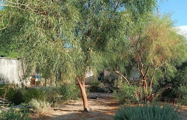 Latmos 1860 - Photo 66