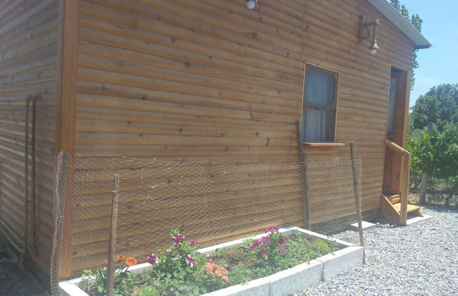 Akarca Bag Evleri - Photo 26