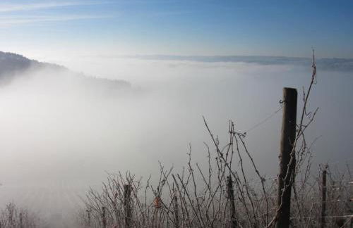 Ferienhaus hoch über dem Taubertal mit fantastischem Weitblick, Dachterrasse, 2000m2 großem Grundstück und Kamin - Foto 36
