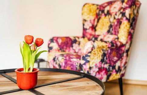 Elbau Residence Uni und Klinik nah - Foto 27